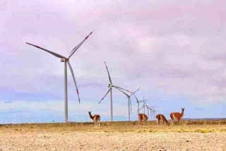 Vestas confirma que asegura orden de 81 MW con Pampa Energía en la Argentina